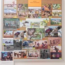 fotografie_2022-2023