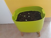 fotografie_2021-2022