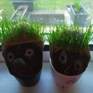 Distanční vzdělávání - co jsme dělali