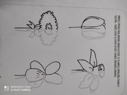 Distanční vzdělávání - co jsme dělali