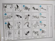 Distanční vzdělávání - co jsme dělali