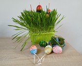 Distanční vzdělávání - co jsme dělali