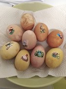 Distanční vzdělávání - co jsme dělali