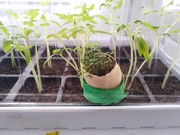 Distanční vzdělávání - co jsme dělali