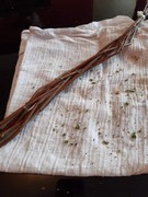 Distanční vzdělávání - co jsme dělali