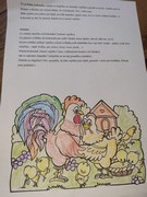 Distanční vzdělávání - co jsme dělali