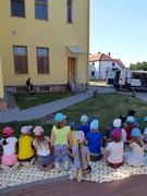 Letové ukázky dravců a sov