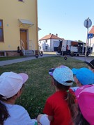 Letové ukázky dravců a sov