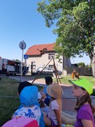 Letové ukázky dravců a sov