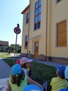 Letové ukázky dravců a sov