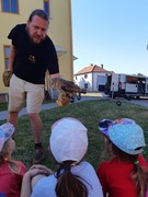 Letové ukázky dravců a sov