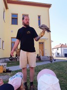 Letové ukázky dravců a sov