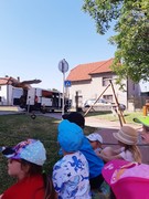 Letové ukázky dravců a sov