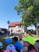 Letové ukázky dravců a sov