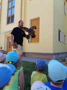 Letové ukázky dravců a sov