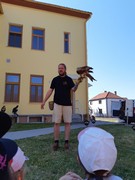 Letové ukázky dravců a sov