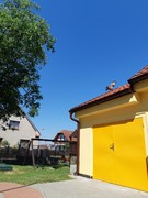 Letové ukázky dravců a sov