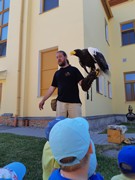 Letové ukázky dravců a sov