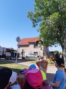 Letové ukázky dravců a sov