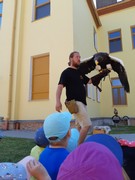 Letové ukázky dravců a sov