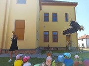 Letové ukázky dravců a sov