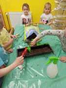 Microgreens_ve_skolce