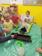 Microgreens_ve_skolce