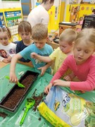 Microgreens_ve_skolce