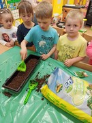 Microgreens_ve_skolce