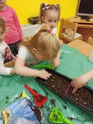 Microgreens_ve_skolce