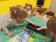 Microgreens_ve_skolce