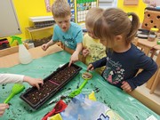 Microgreens_ve_skolce