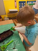 Microgreens_ve_skolce