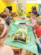 Microgreens_ve_skolce