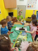 Microgreens_ve_skolce