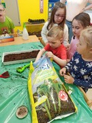 Microgreens_ve_skolce