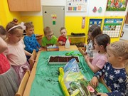 Microgreens_ve_skolce