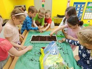 Microgreens_ve_skolce