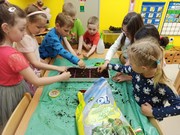 Microgreens_ve_skolce