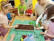 Microgreens_ve_skolce