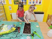 Microgreens_ve_skolce