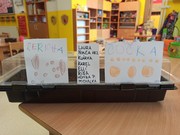 Microgreens_ve_skolce