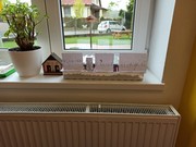 Microgreens_ve_skolce