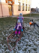 Musherka_a_sibirsti_psi_husky_ve_skolce