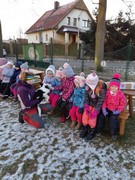 Musherka_a_sibirsti_psi_husky_ve_skolce