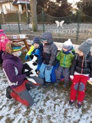 Musherka_a_sibirsti_psi_husky_ve_skolce