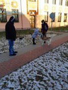 Musherka_a_sibirsti_psi_husky_ve_skolce