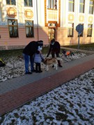 Musherka_a_sibirsti_psi_husky_ve_skolce