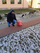 Musherka_a_sibirsti_psi_husky_ve_skolce