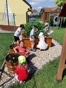 Na školní zahradě